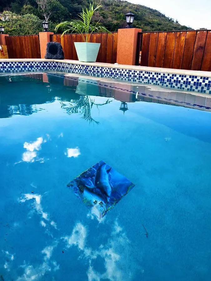 Royal Vybez Vacation Homes Spanish Town